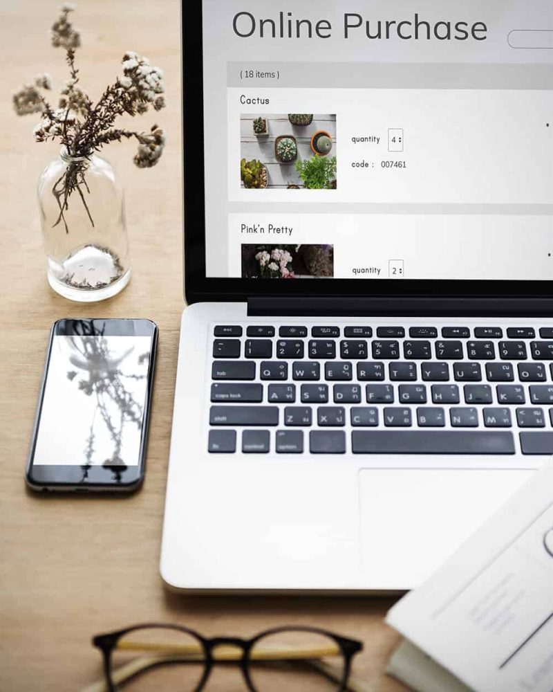 E-Commerce Online Shopping Plant Sale